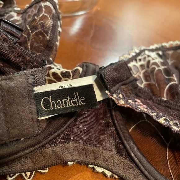 Chantelle ICONE unlined embroidered Demi bra & XL Chantelle lace detail panty. - Picture 5 of 10